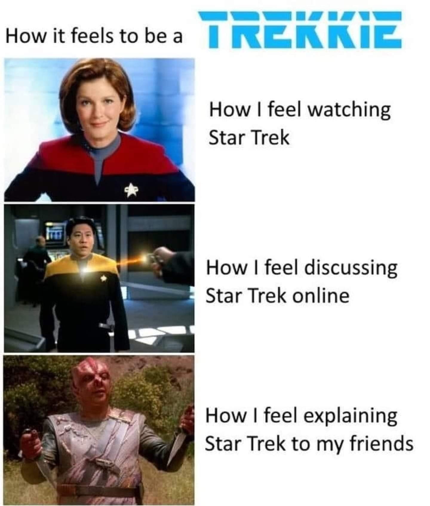 This meme is a humorous take on the concept of being a "trekkie" (a fan of the Star Trek franchise). The image shows three different characters from the franchise, with the caption "How it feels to be a trekkie" and the sub-caption "How it feels to be a trekkie: Star Trek fan, Star Trek fan, Star Trek fan".